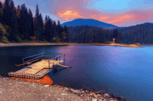 Синевир за 1 день озеро, реабілітаційний центр ведмедів та музей лісу й сплаву