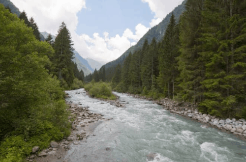 Трекінг уздовж річки Бистриця — природа без шуму цивілізації