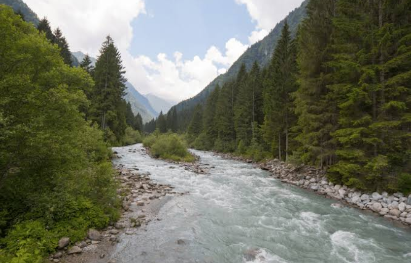 Трекінг уздовж річки Бистриця — природа без шуму цивілізації