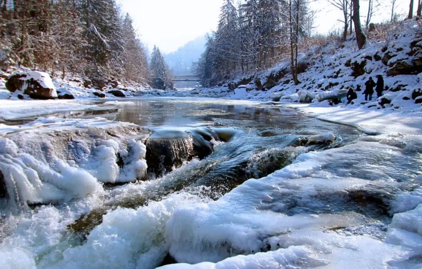 Зимові ландшафти України, що заспокоюють і лікують